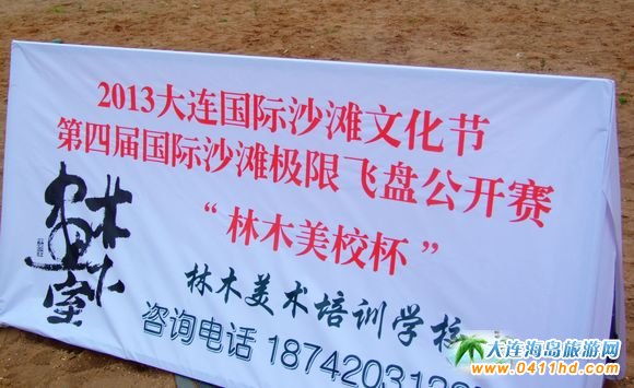 大連飛盤公開賽