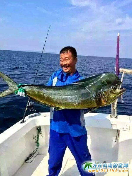 大連海釣